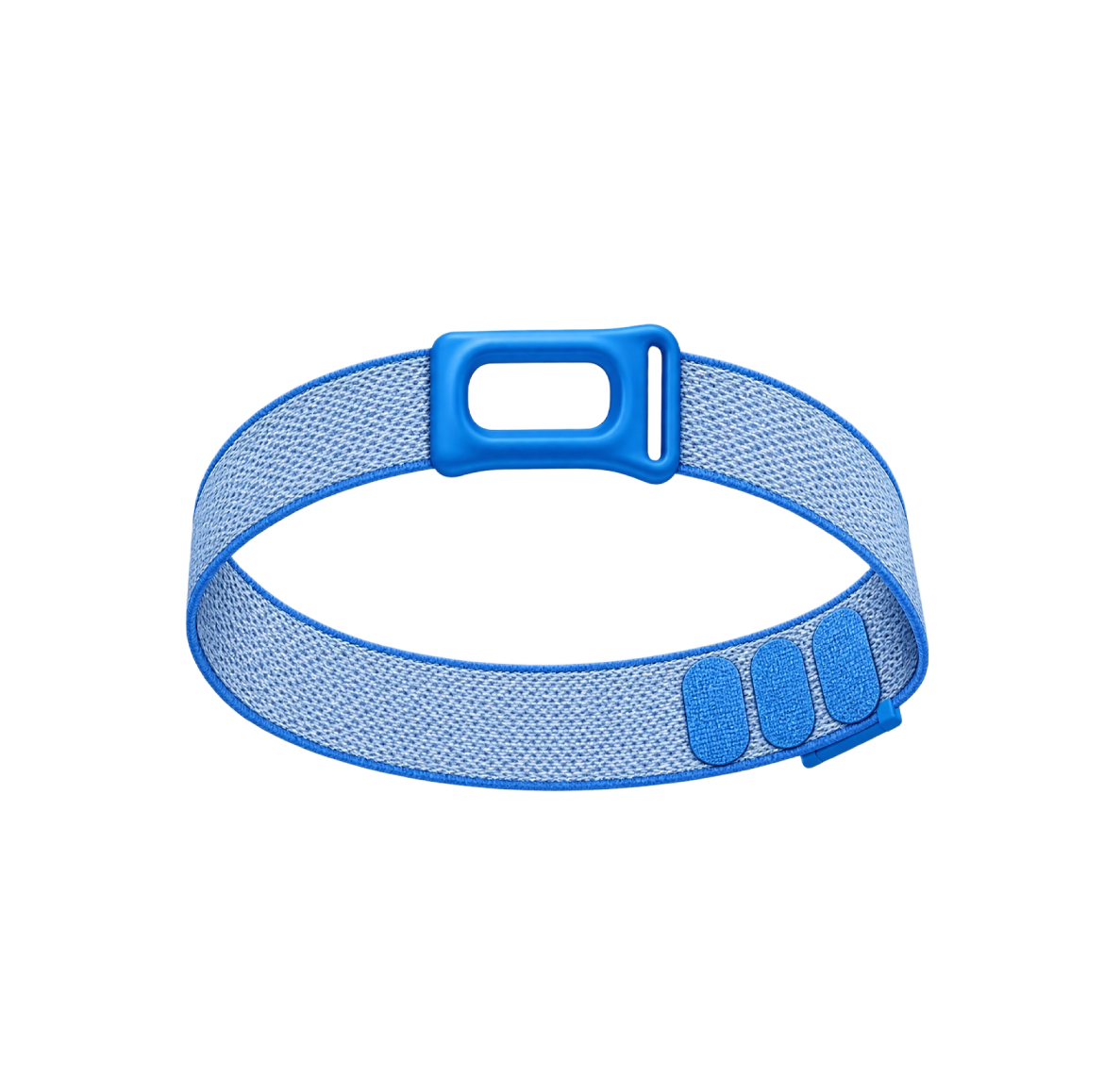 Baby Blue Bicep Band