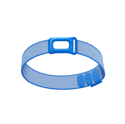 Baby Blue Bicep Band